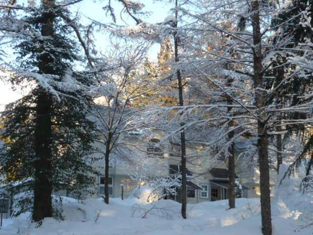 Hakuba Royal Suites Extérieur photo
